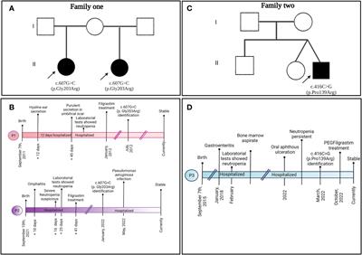 Case Report: Characterization of known (c.607G>C) and novel (c.416C>G) ELANE mutations in two Mexican families with congenital neutropenia